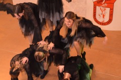 Kappensitzung_20260117_223722